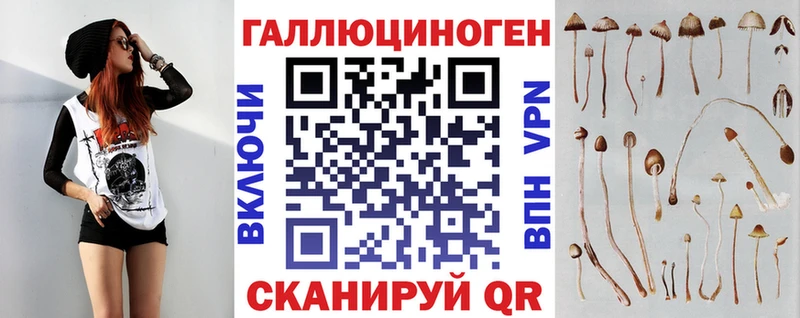 Псилоцибиновые грибы Psilocybine cubensis  Сочи 