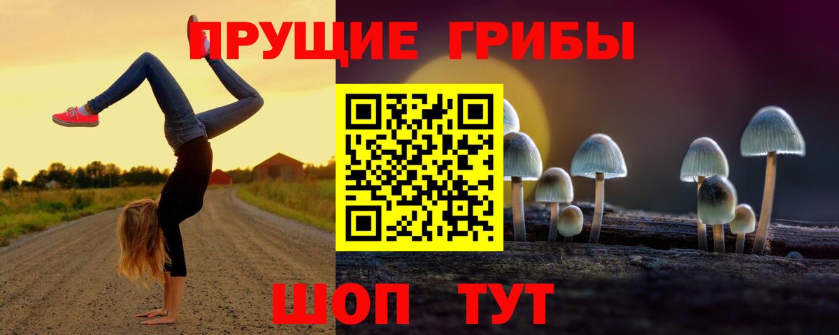 Сочи  Псилоцибиновые грибы MAGIC MUSHROOMS  Вход с VPN 